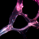 Credit: João Conde, Nuria Oliva and Natalie Artzi, Massachusetts Institute of Technology (MIT)